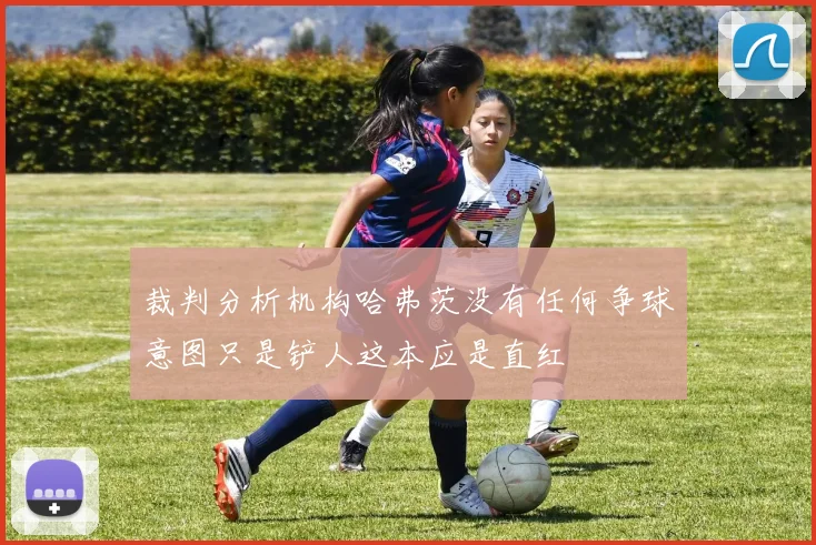 裁判分析机构哈弗茨没有任何争球意图只是铲人这本应是直红